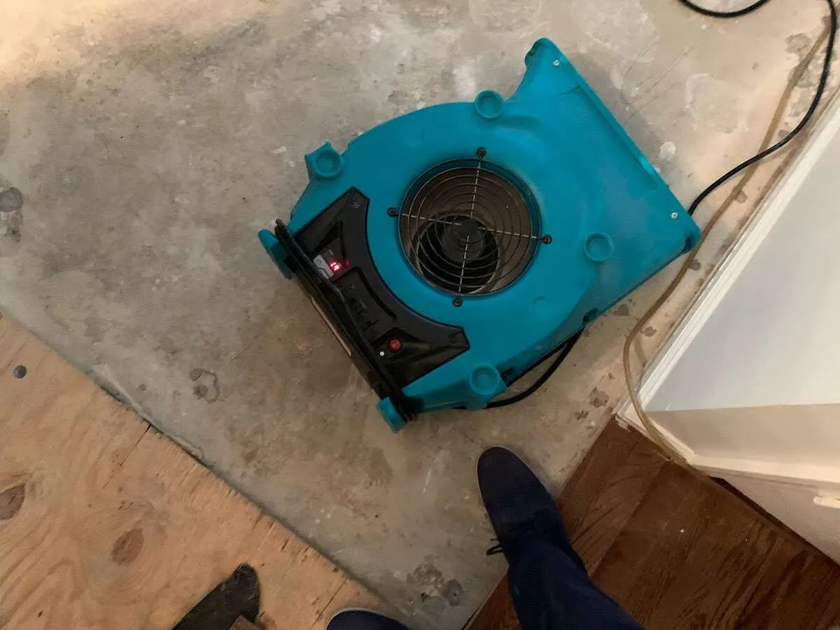 Air mover drying subfloor during Leak Detection & Repair in Braintree Town