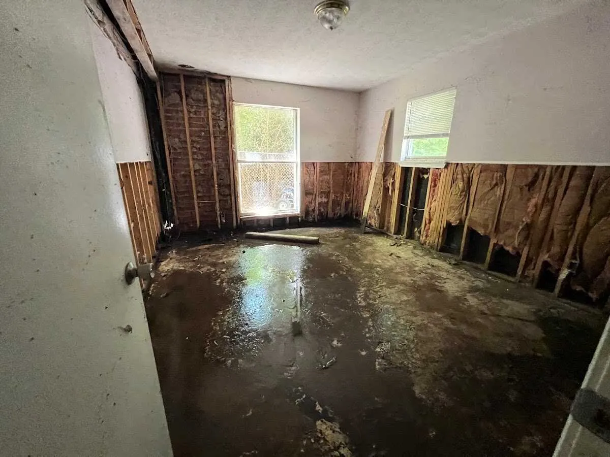 Water Damage Restoration services in Braintree Town, MA